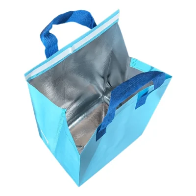 Bolsa Termica con Aislación 22x30x16